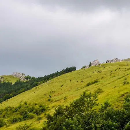 Serenaris * Frasinet