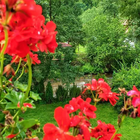 Serenaris Holiday home *