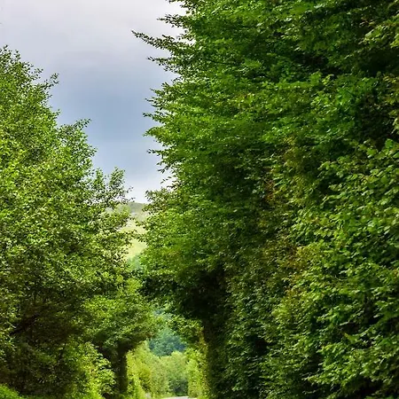 Serenaris